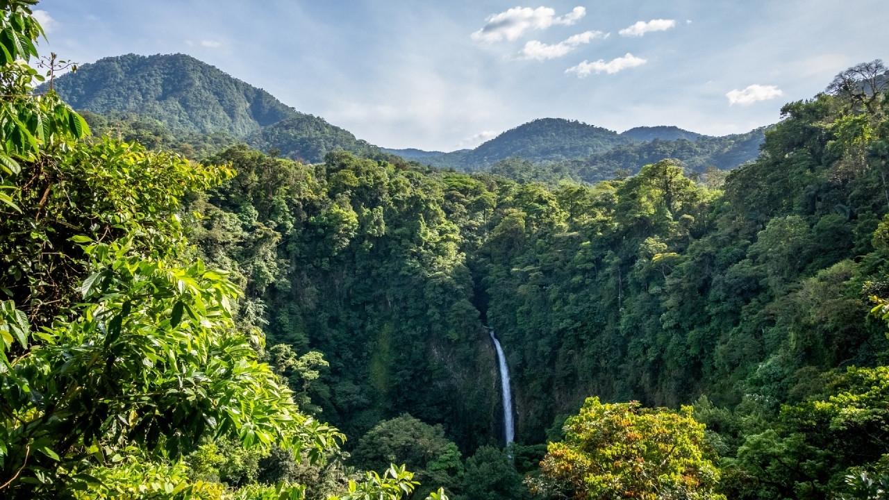 Living Landscapes: Costa Rica backdrop