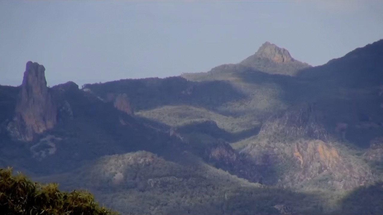 Girraween: The Pilliga backdrop