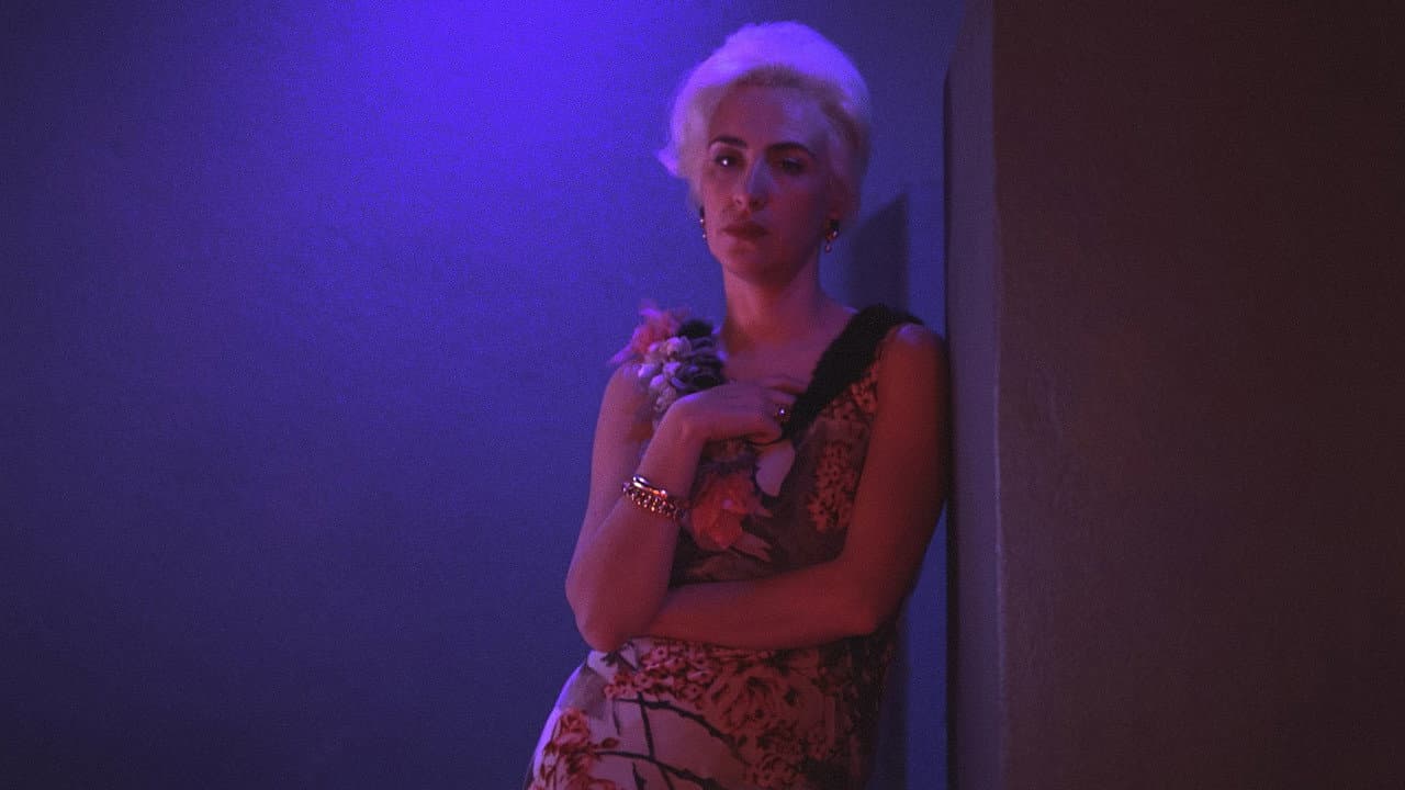 In the Darkness of the Night backdrop