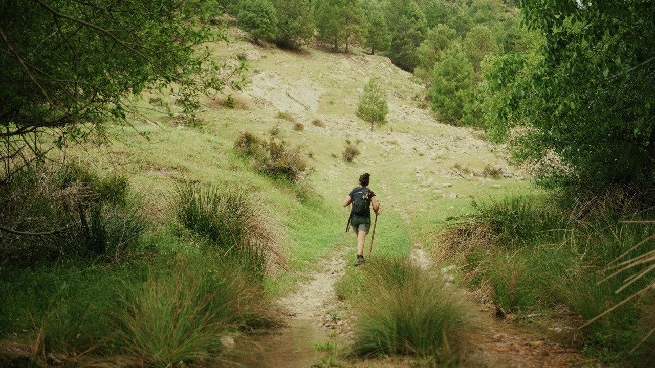 The Valley backdrop