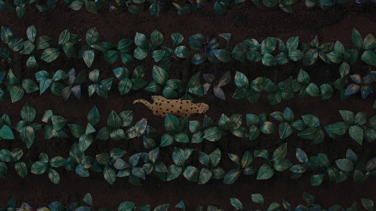 The Sound of the Jaguar backdrop