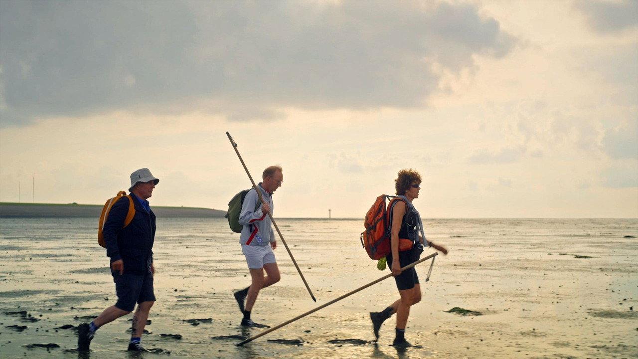 Langs de Kust backdrop