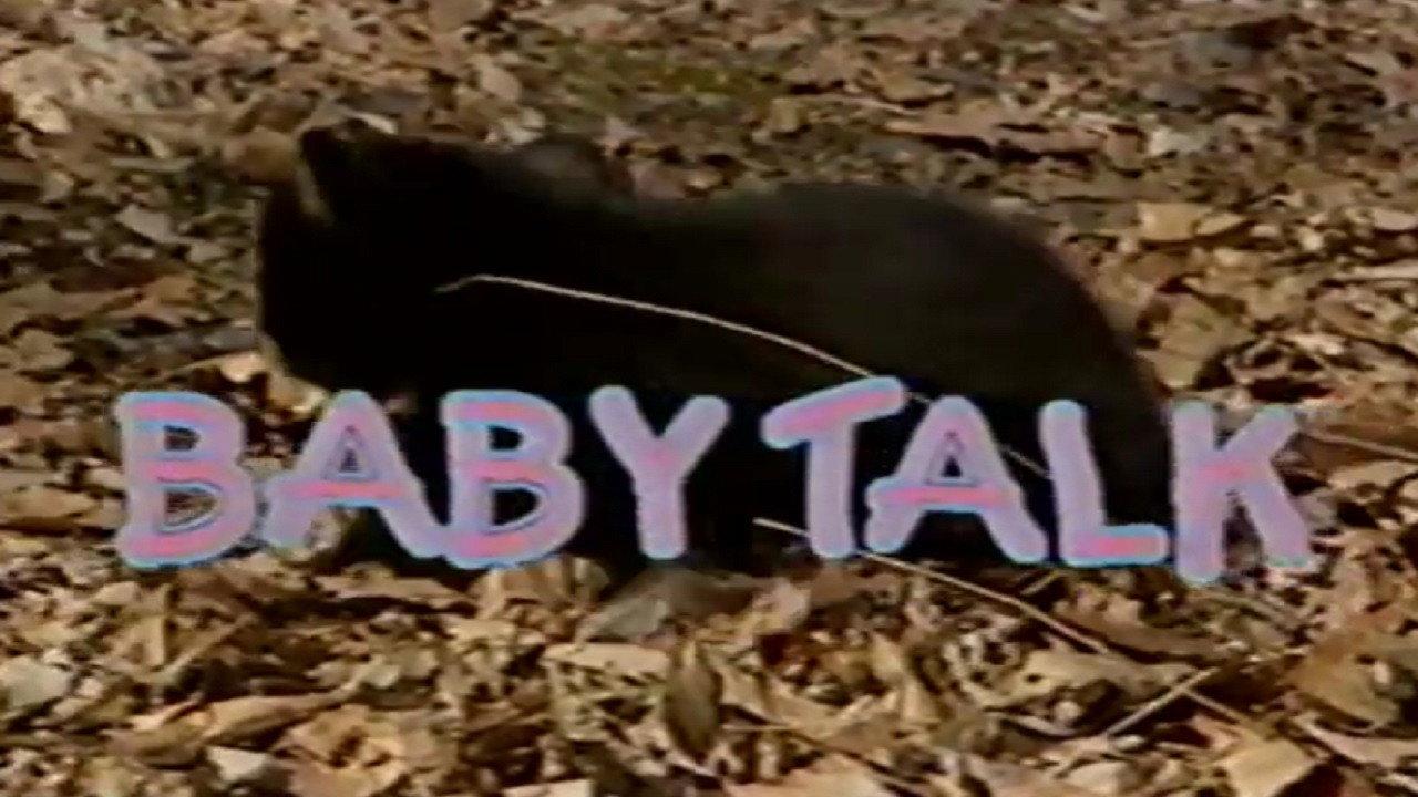Baby Talk backdrop