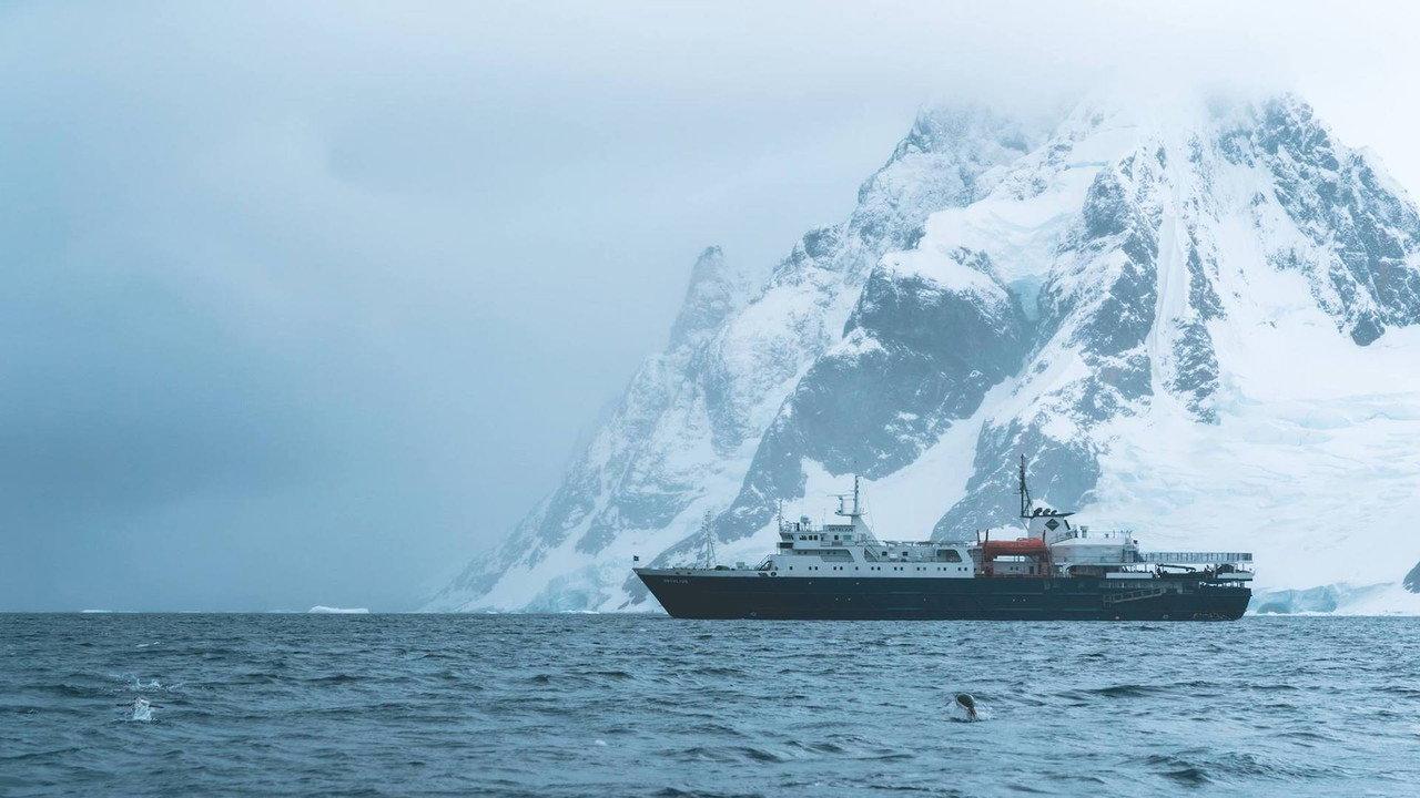 Project: Antarctica backdrop