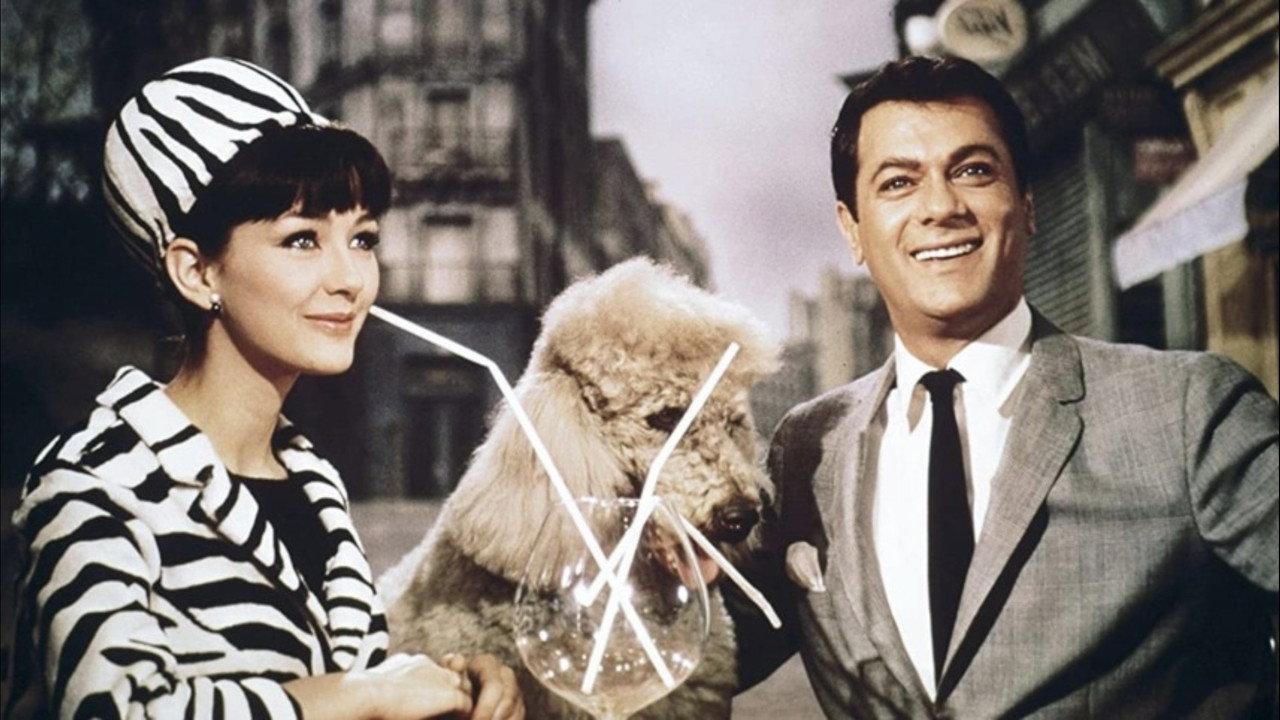 Wild and Wonderful backdrop