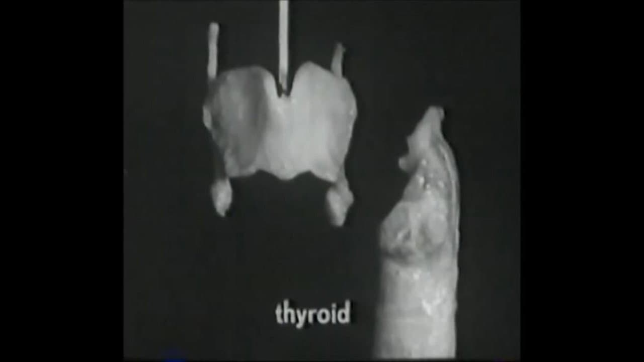 Voice Production: The Vibrating Larynx backdrop