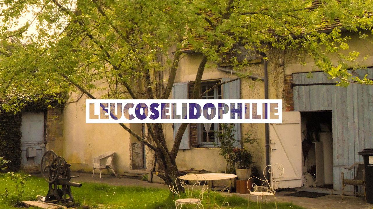 Leucosélidophilie backdrop