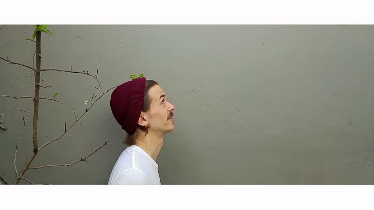 True Minimalist Travel backdrop