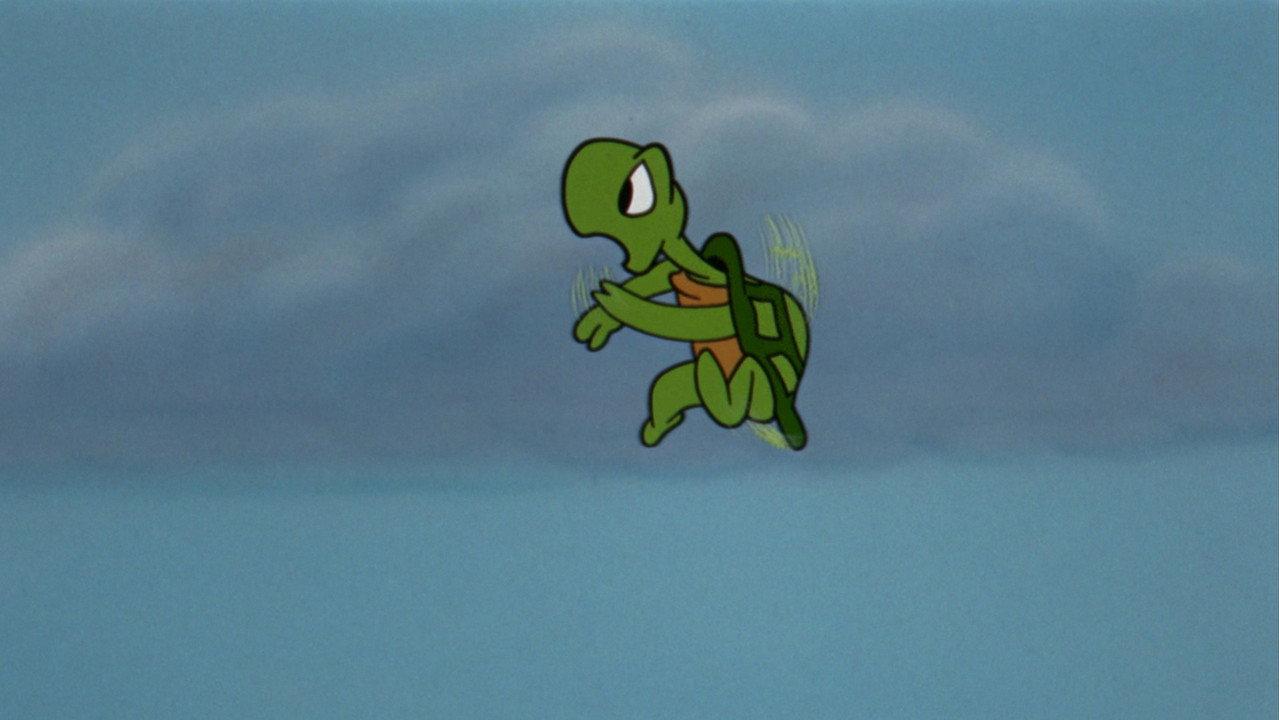 The Flying Turtle backdrop