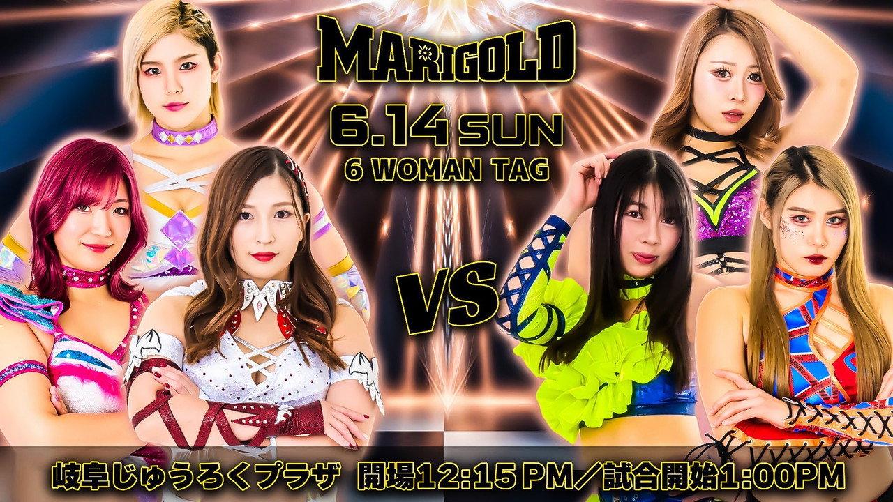 Marigold Shining Attack 2026 ~ Day 13 backdrop