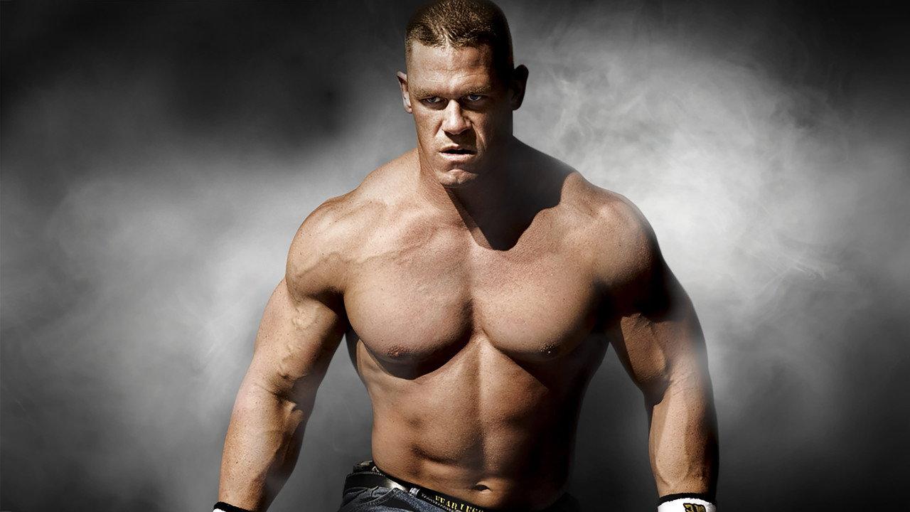 WWE Survivor Series 2008 backdrop