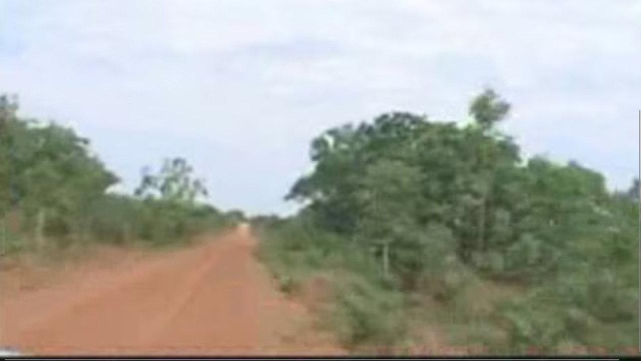 A Terra E O Tempo - Vozes Do Quilombo backdrop
