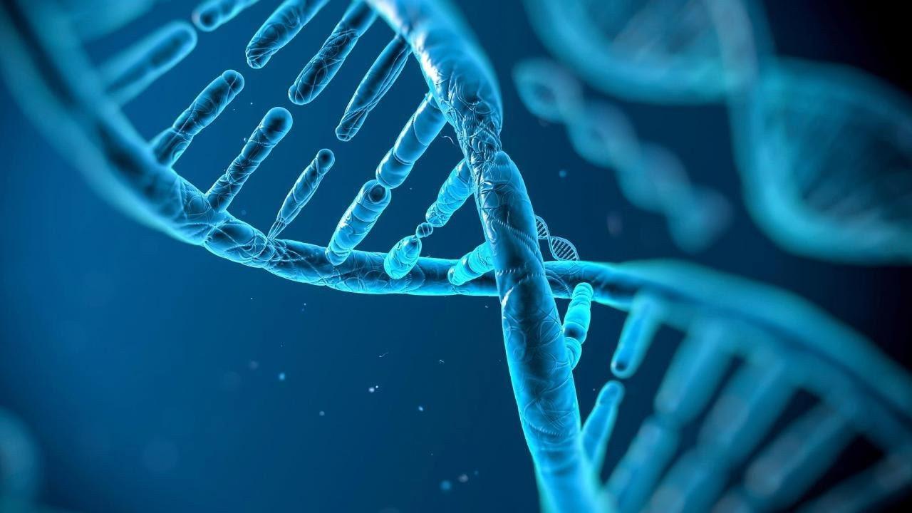 Naked Science: Evolution backdrop