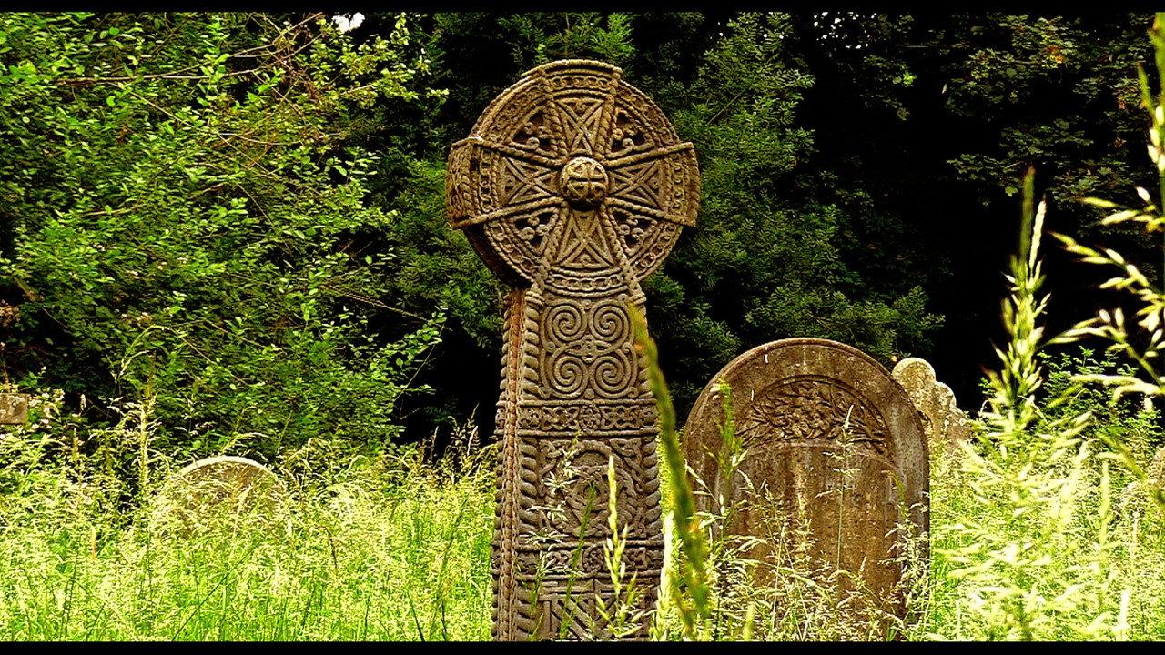 In Search of the Dead backdrop