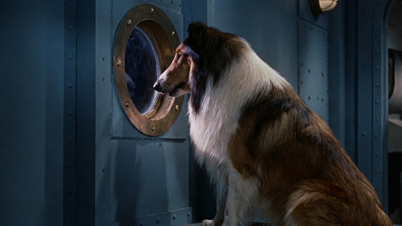 Lassie, the Voyager backdrop