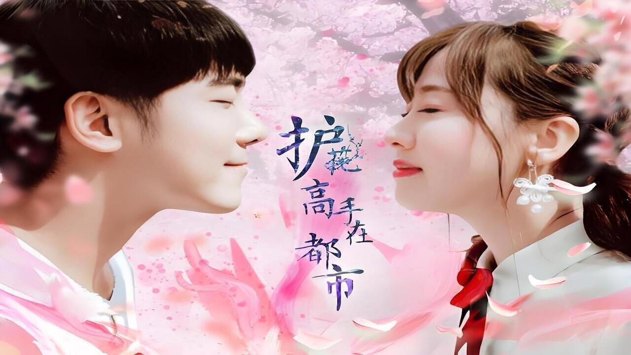 护花高手在都市 backdrop