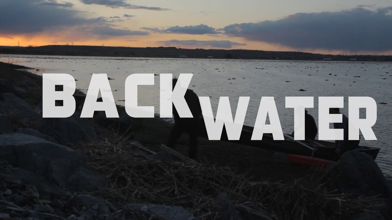 Back Water backdrop