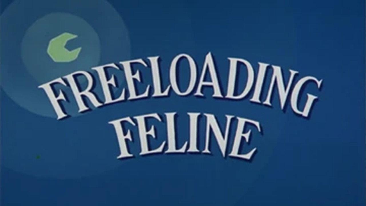 Freeloading Feline backdrop