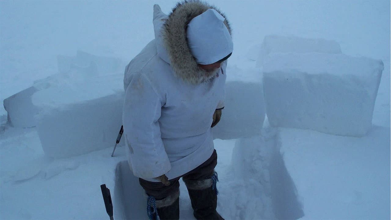 Inuuvunga: I Am Inuk, I Am Alive backdrop