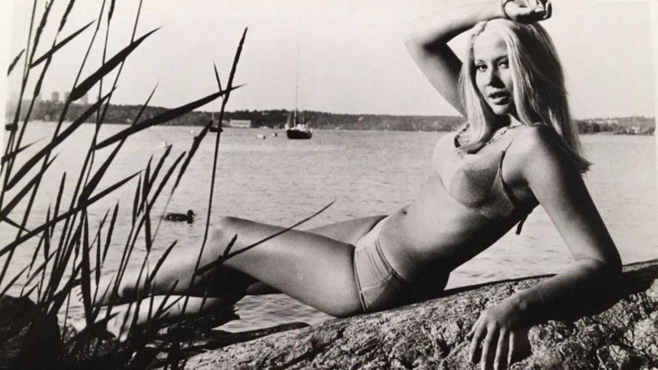 One Swedish Summer backdrop