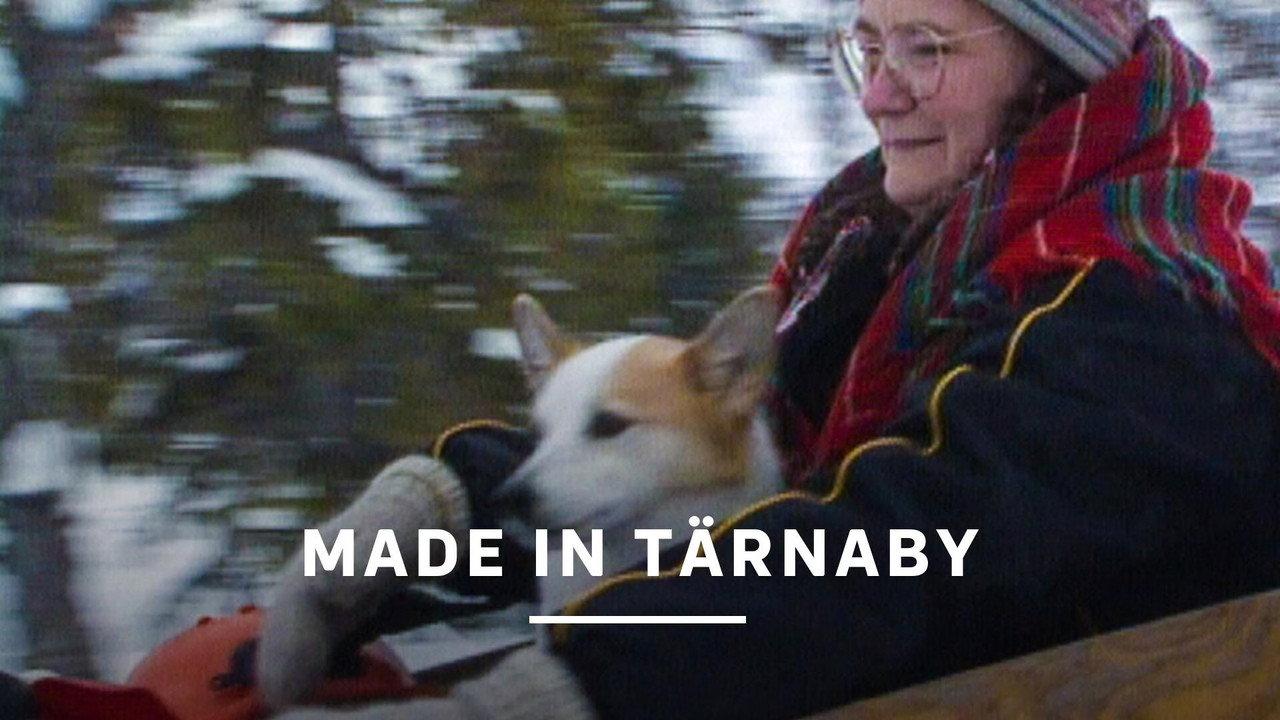 Made in Tärnaby backdrop