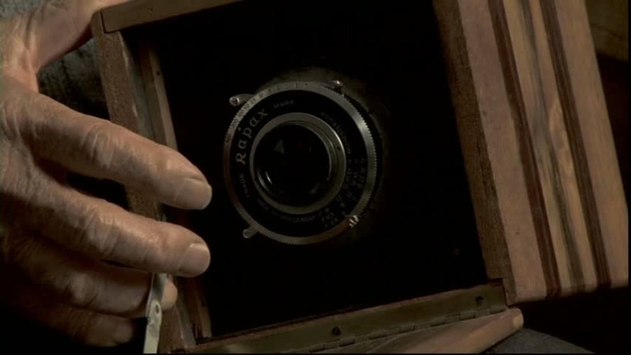 Toyo's Camera backdrop