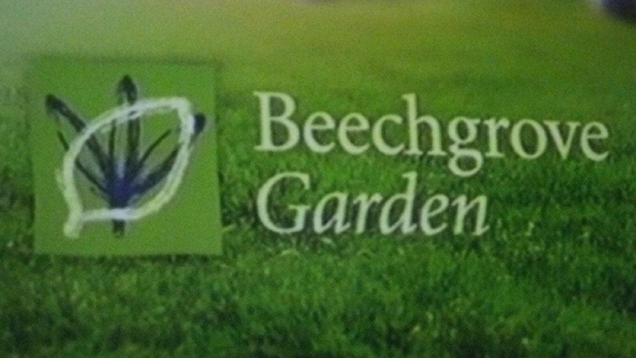 Beechgrove Garden backdrop
