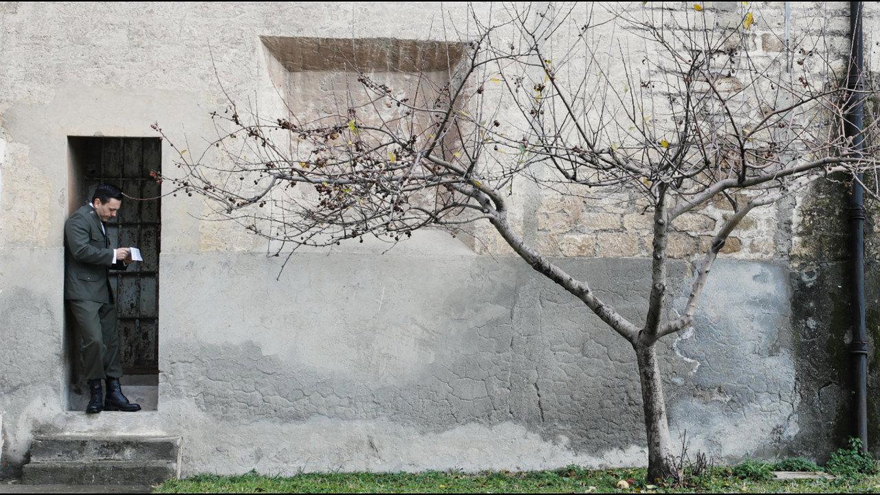 Fortress backdrop