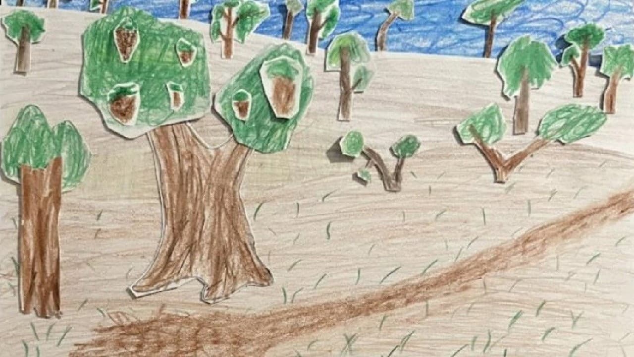 Deforestation backdrop