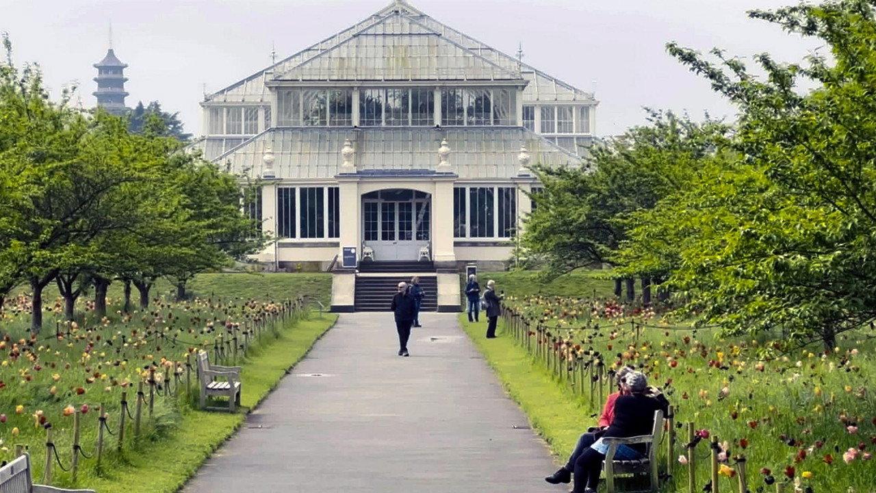 Botanical Gardens A Glass Paradise backdrop