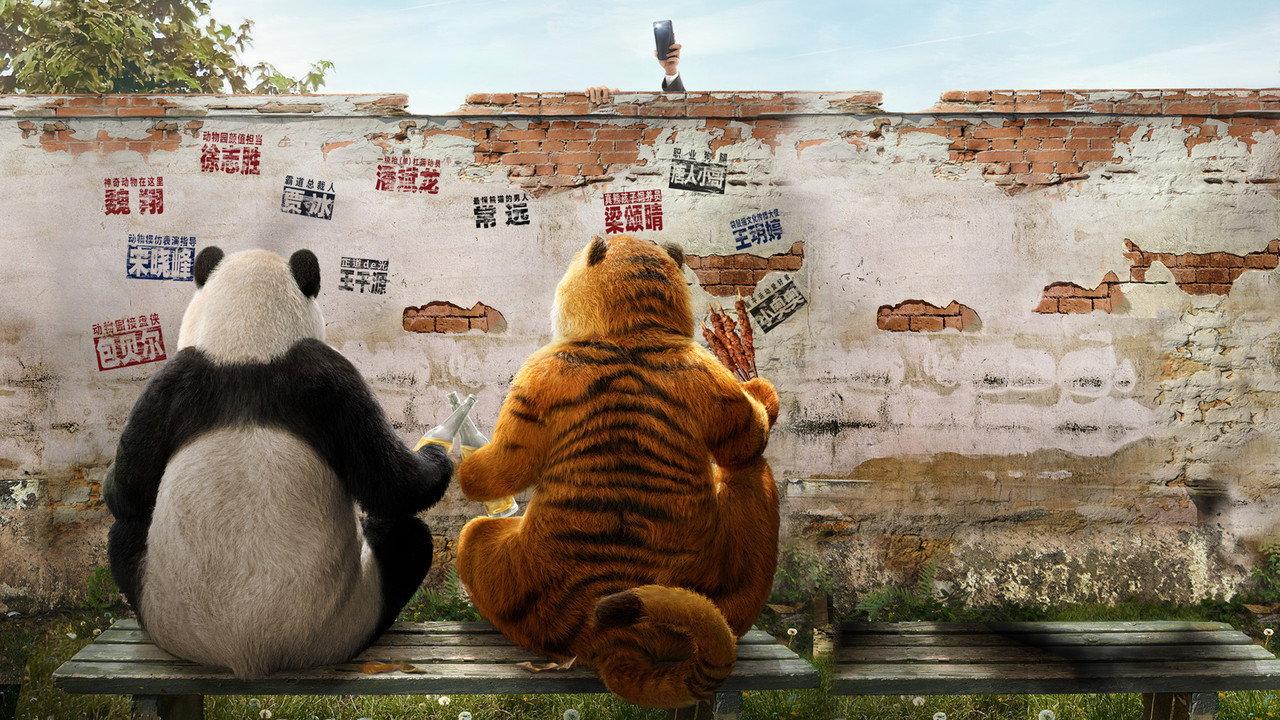 Follow Bear to Adventure backdrop