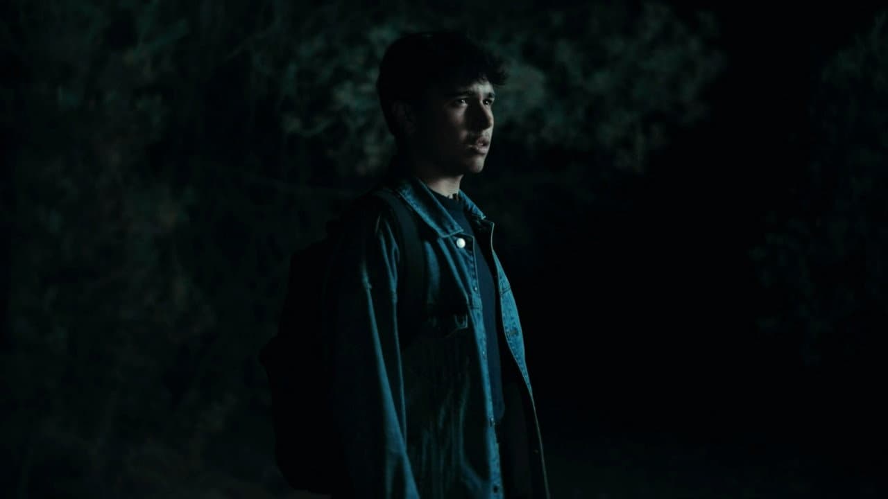 The Echo Forest backdrop