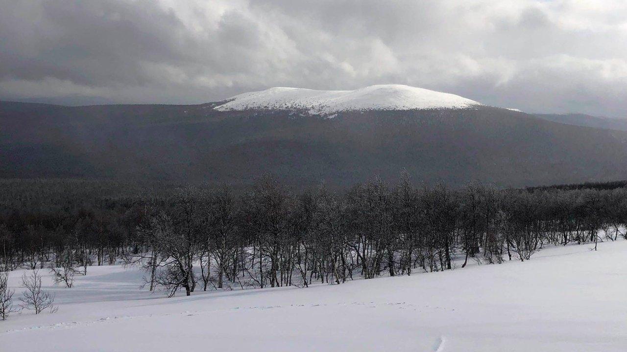 The Dyatlov Pass Incident backdrop