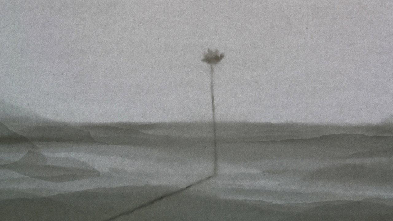 Nós backdrop