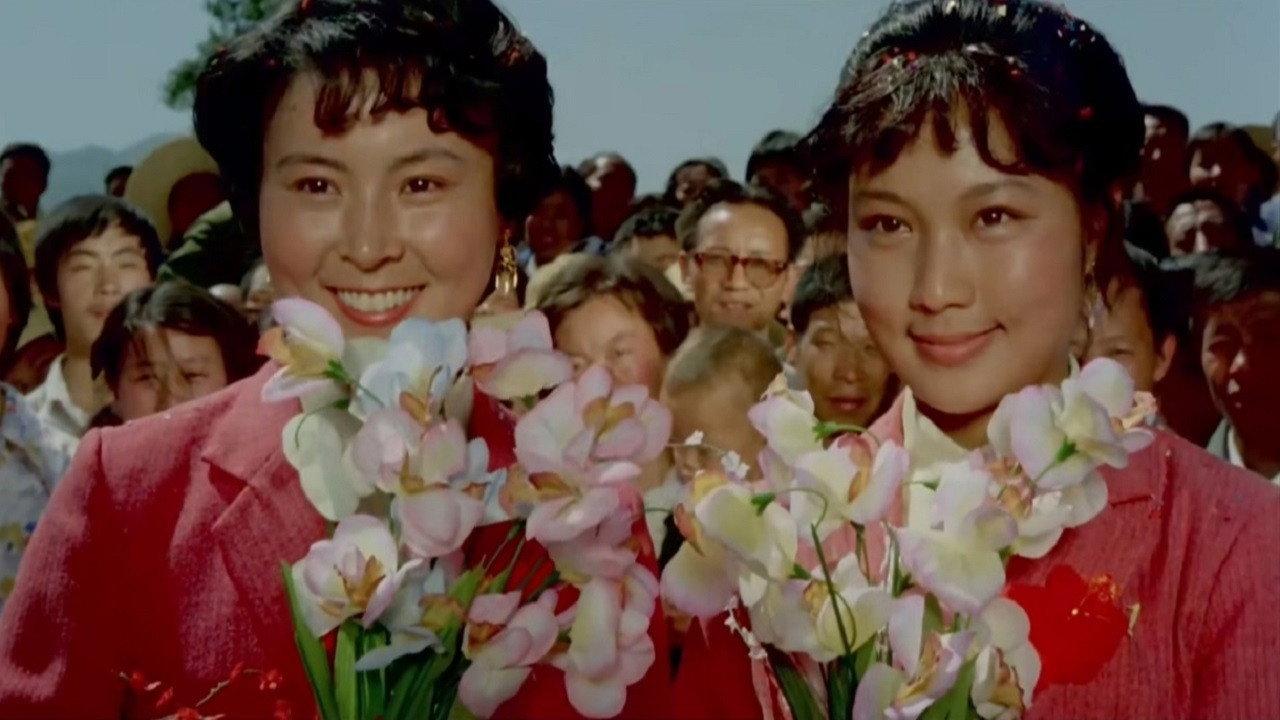两对半 backdrop