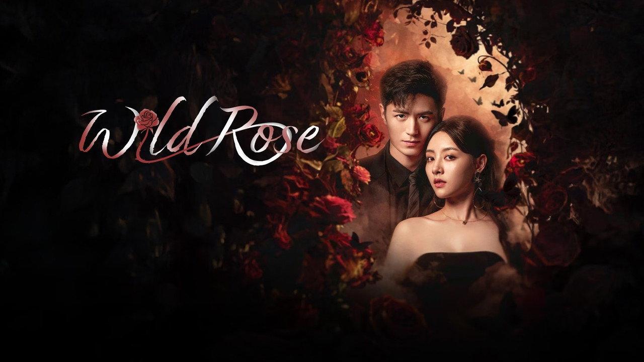 Wild Rose backdrop