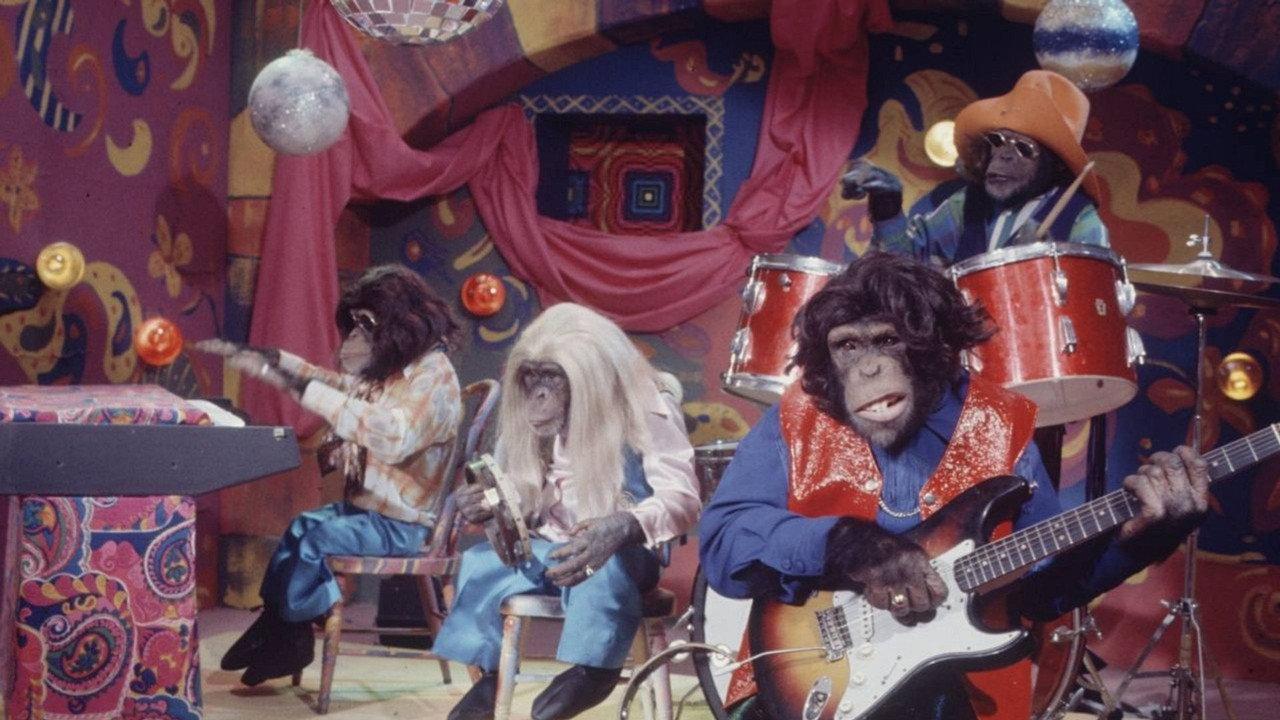 Lancelot Link, Secret Chimp backdrop