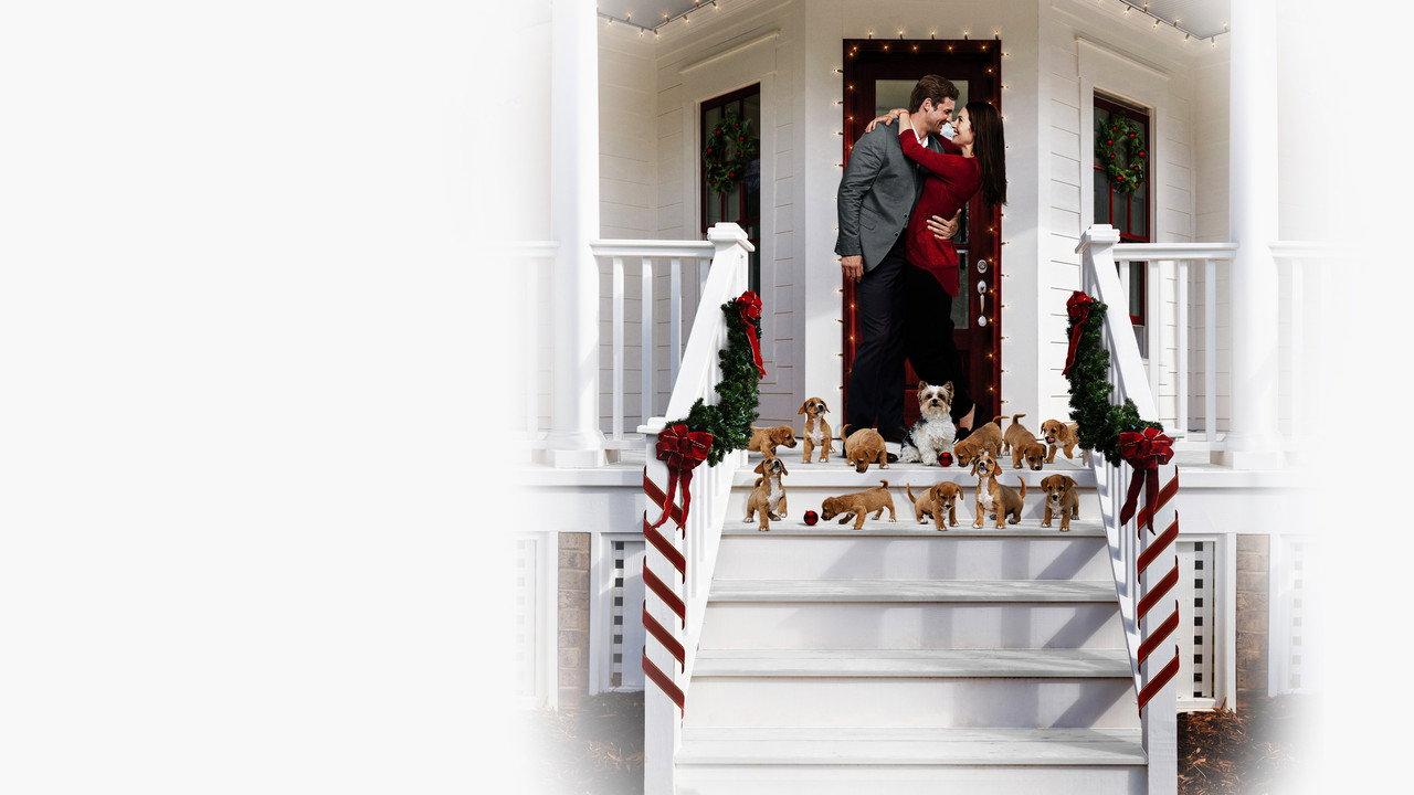 12 Pups of Christmas backdrop