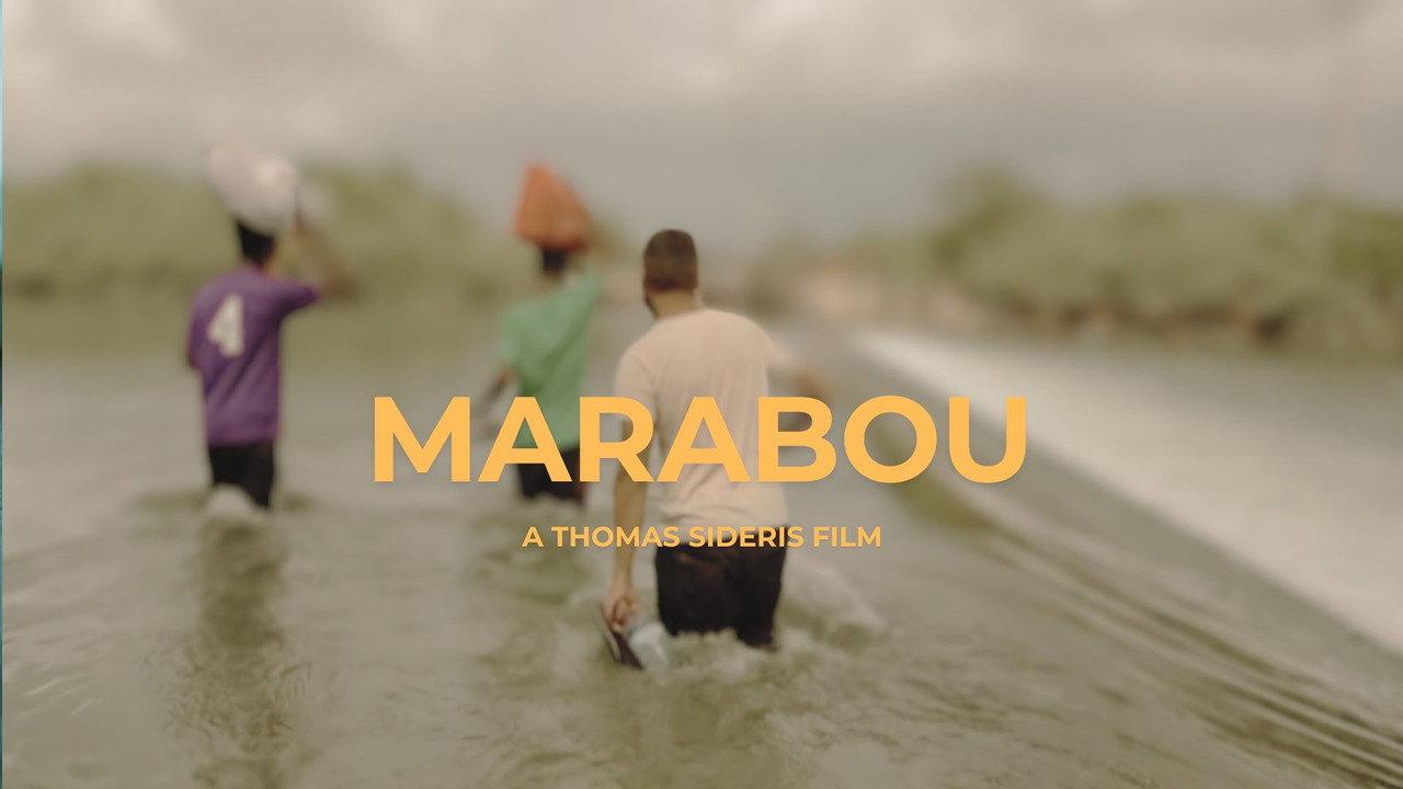 MARABOU backdrop