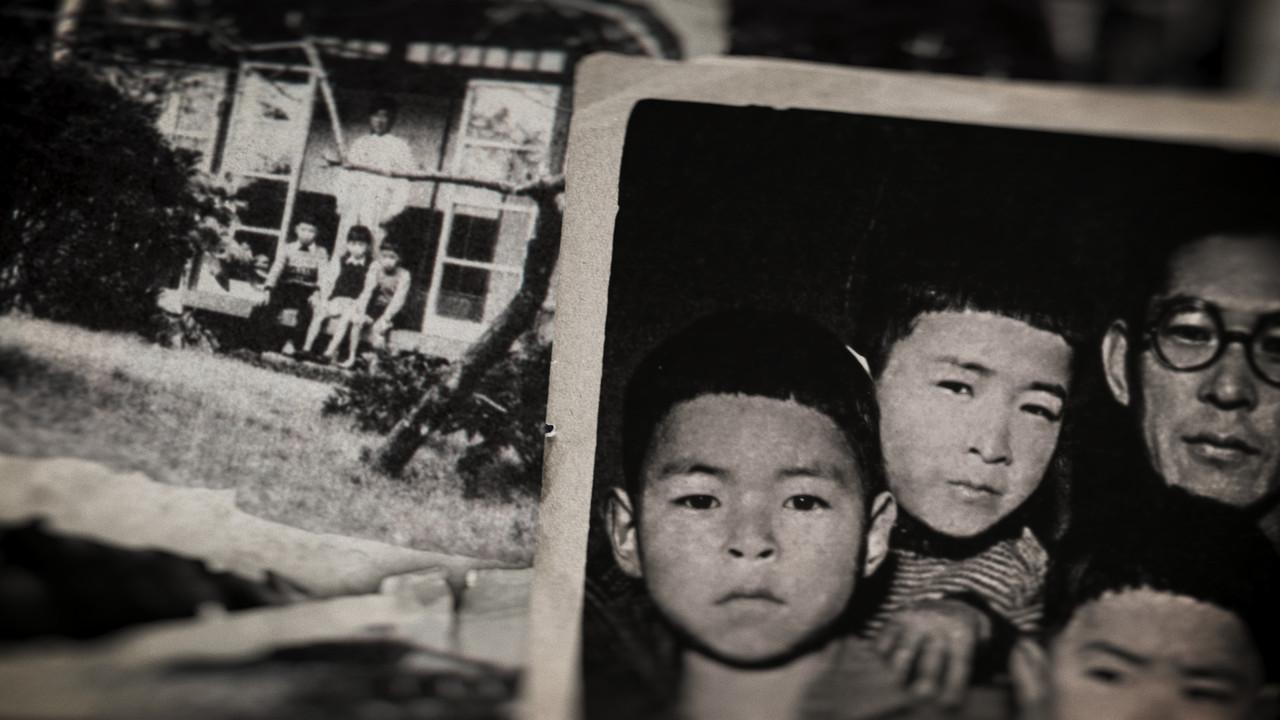 Miyazaki, Spirit of Nature backdrop