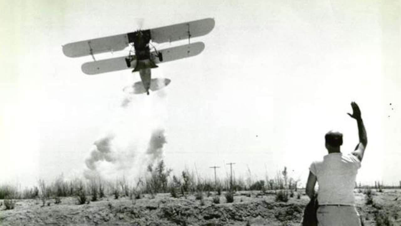 No Place to Land backdrop