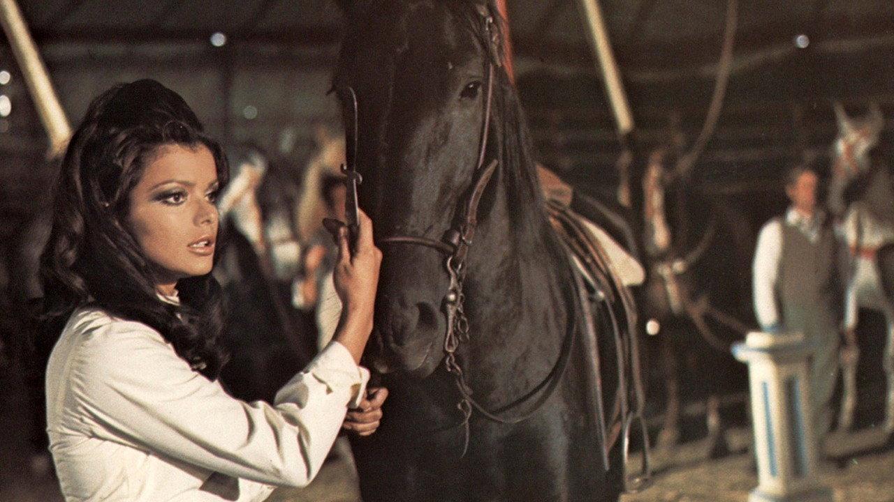 Black Beauty backdrop