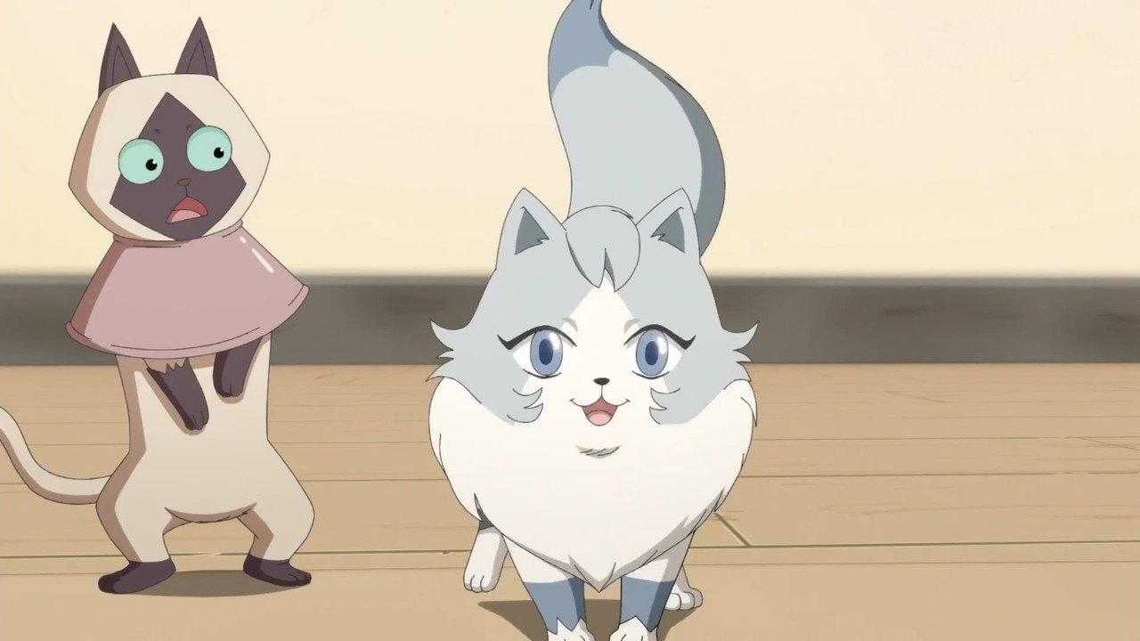 猫先动的手! backdrop
