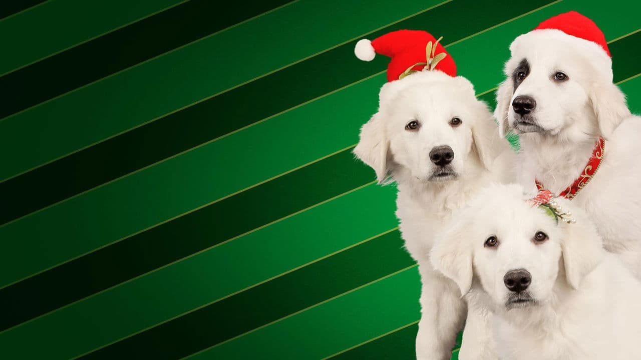 Santa Buddies backdrop
