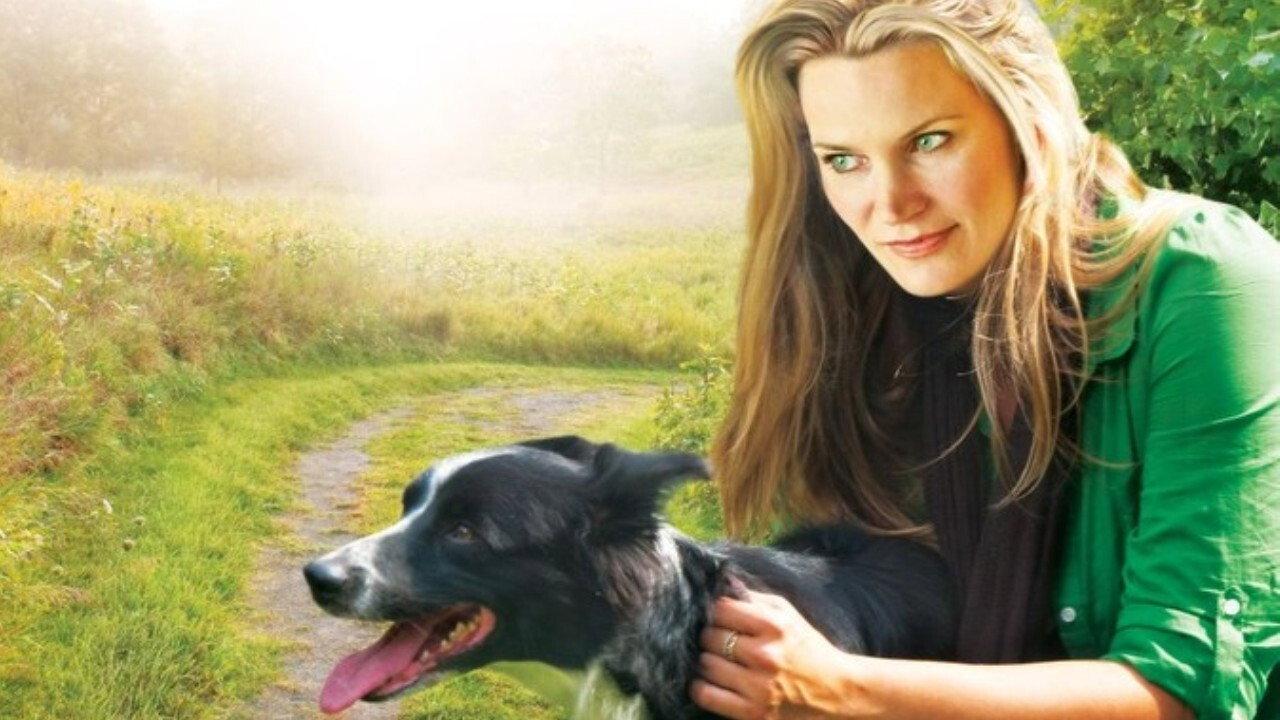 You Lucky Dog backdrop