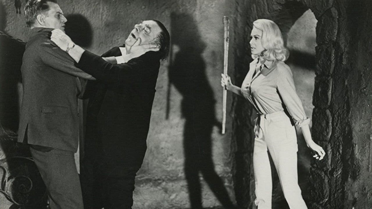 Hillbillys in a Haunted House backdrop