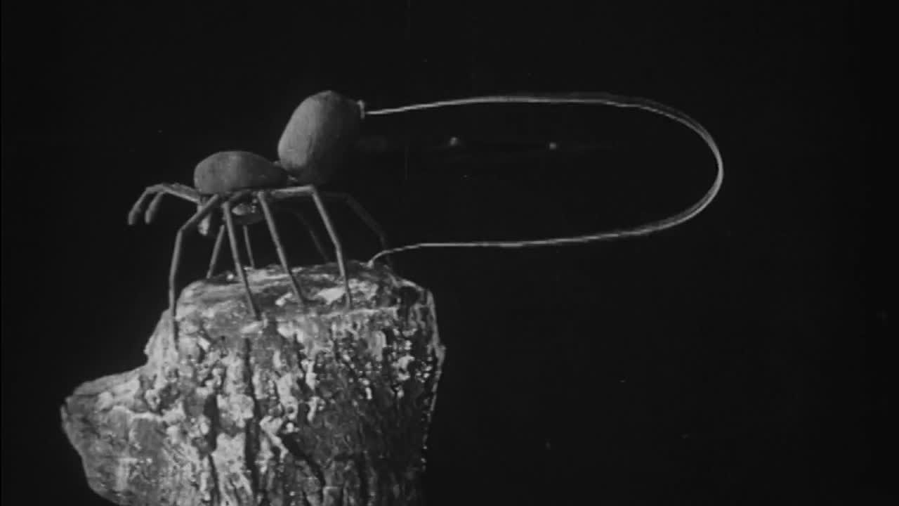 To Demonstrate How Spiders Fly backdrop
