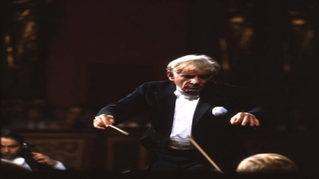 Bernstein Brahms Symphonies backdrop