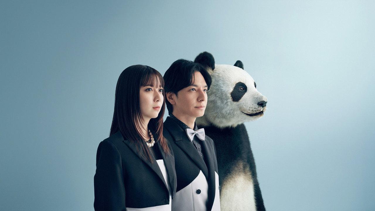 We Are Worse at Love Than Pandas backdrop