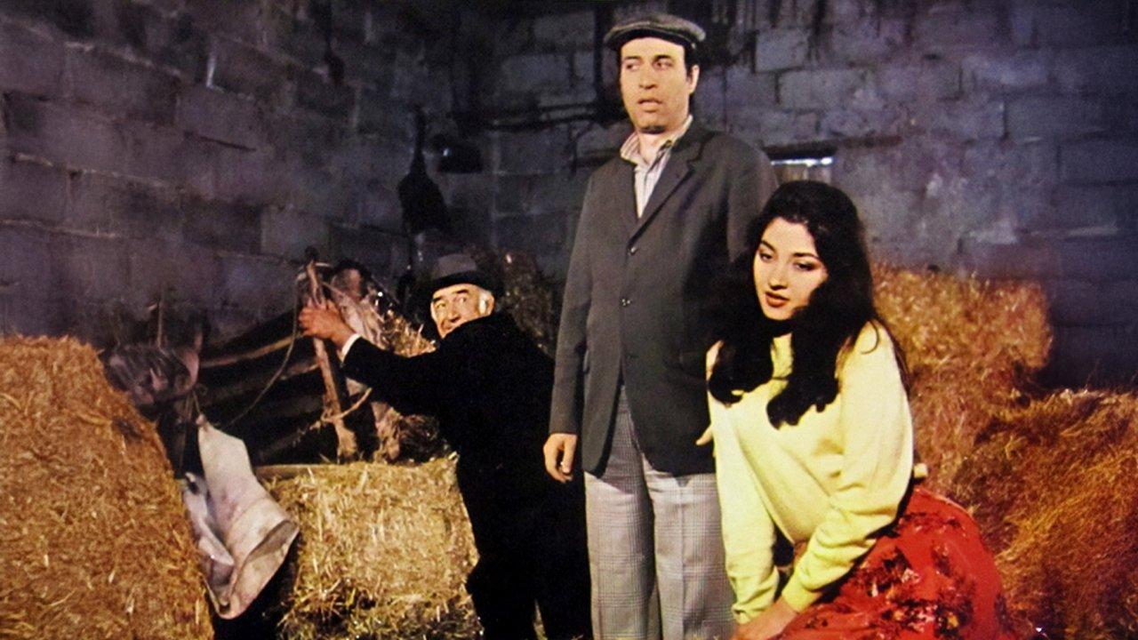 Tokatçı backdrop
